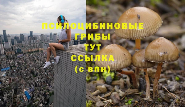 прущие крисы Алексин
