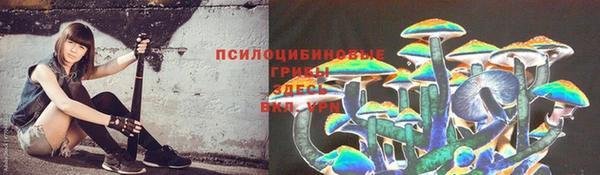 прущие крисы Алексин
