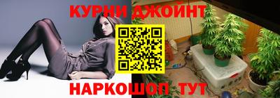 скорость Будённовск
