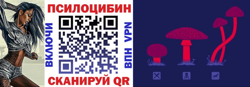 Псилоцибиновые грибы прущие грибы  Лесной 